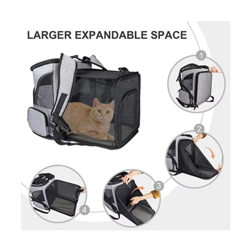 Cat Bag Outdoor Portable Cat B - đánh giá và giá Foldable Backpack Small