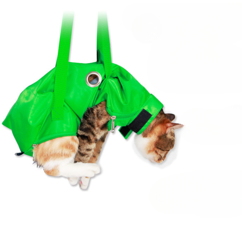 Portable Cat Backpack Pet Summ - đánh giá và giá Foldable Backpack Small